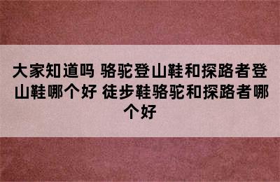 大家知道吗 骆驼登山鞋和探路者登山鞋哪个好 徒步鞋骆驼和探路者哪个好